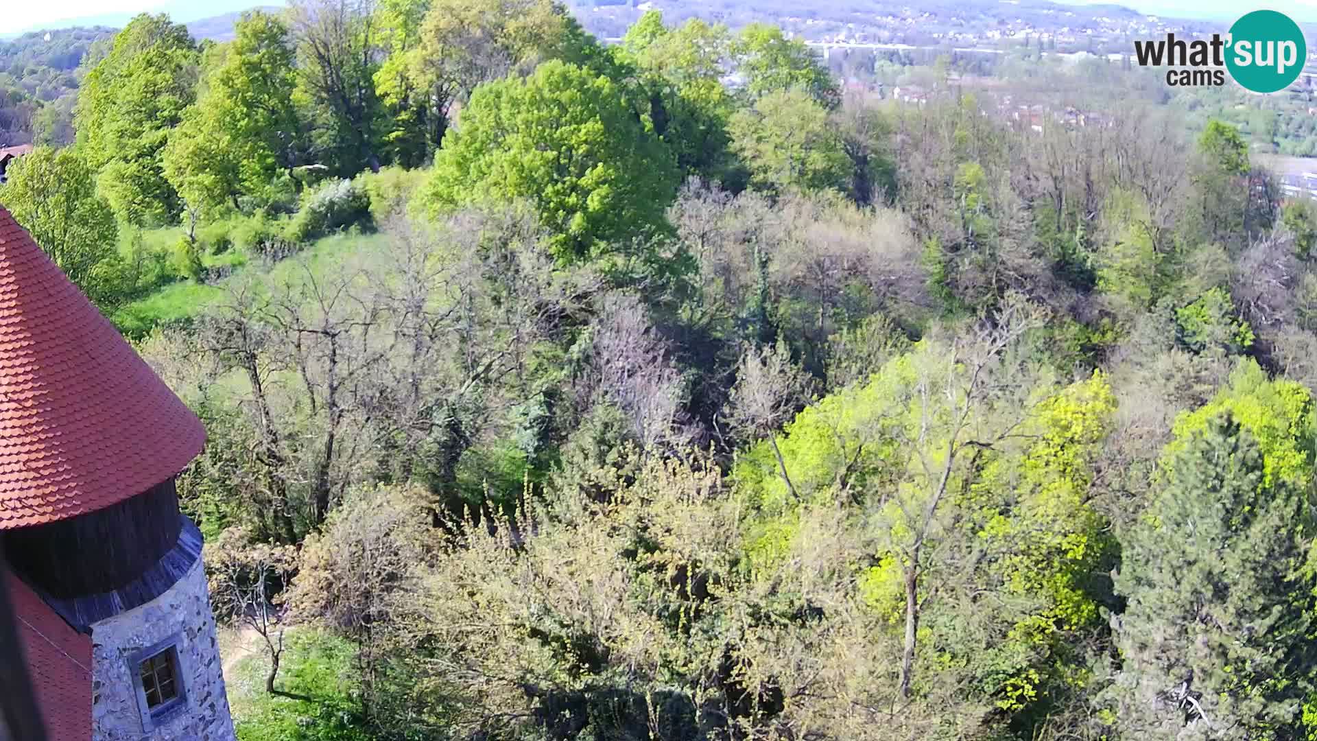 Webcam Castillo Dubovac Karlovac – Vista en directo del histórico castillo
