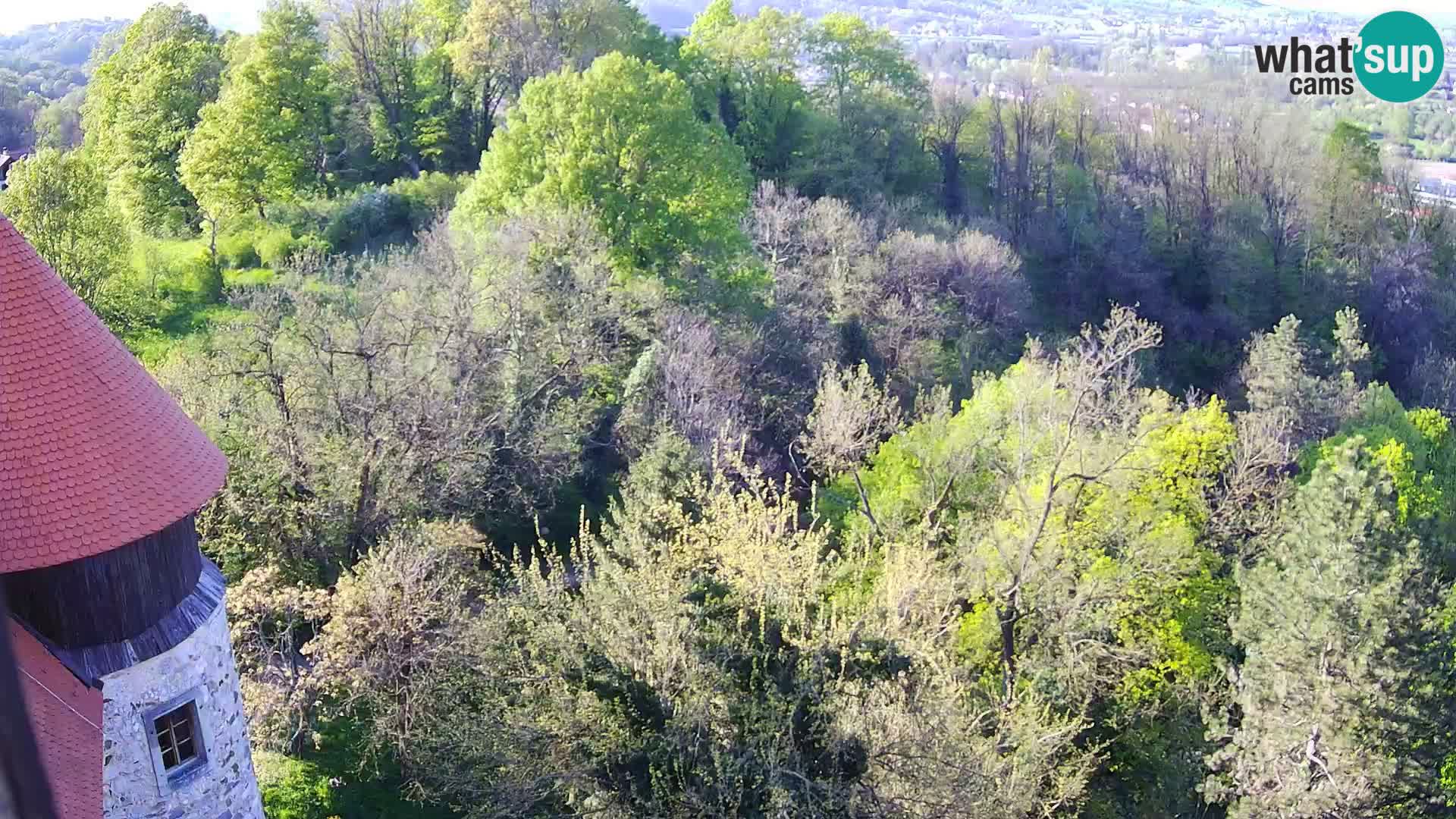 Webcam Karlstadt Burg Dubovac – Liveblick auf das historische Wahrzeichen