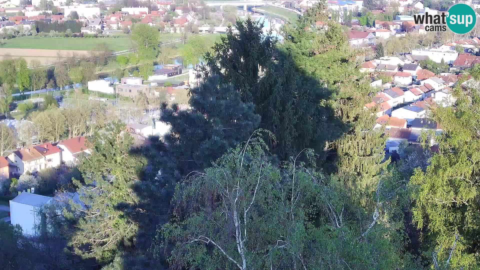 Spletna kamera Karlovac Dubovac grad – Pogled v živo na zgodovinsko znamenitost Karlovca