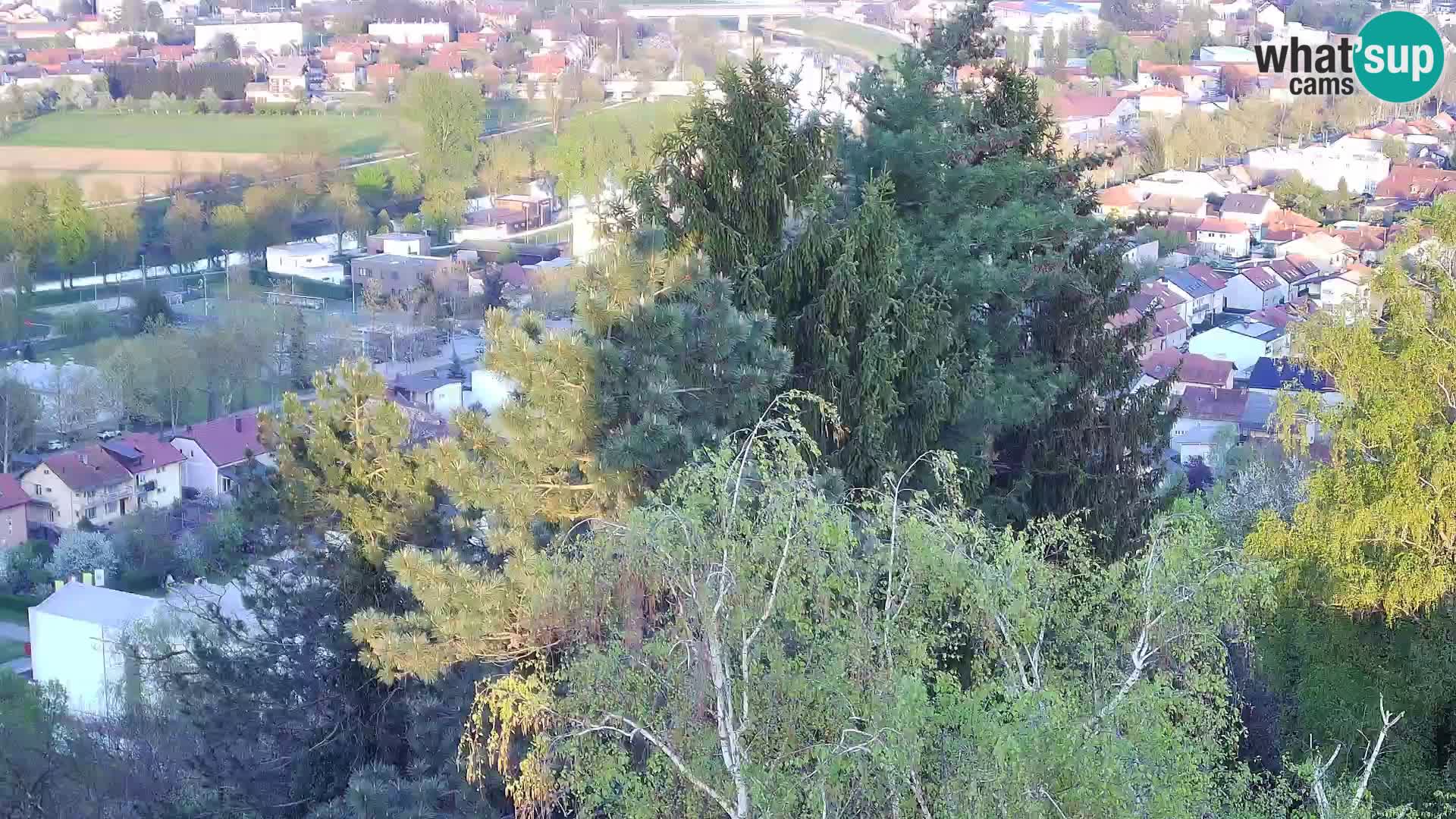 Webcam Karlstadt Burg Dubovac – Liveblick auf das historische Wahrzeichen