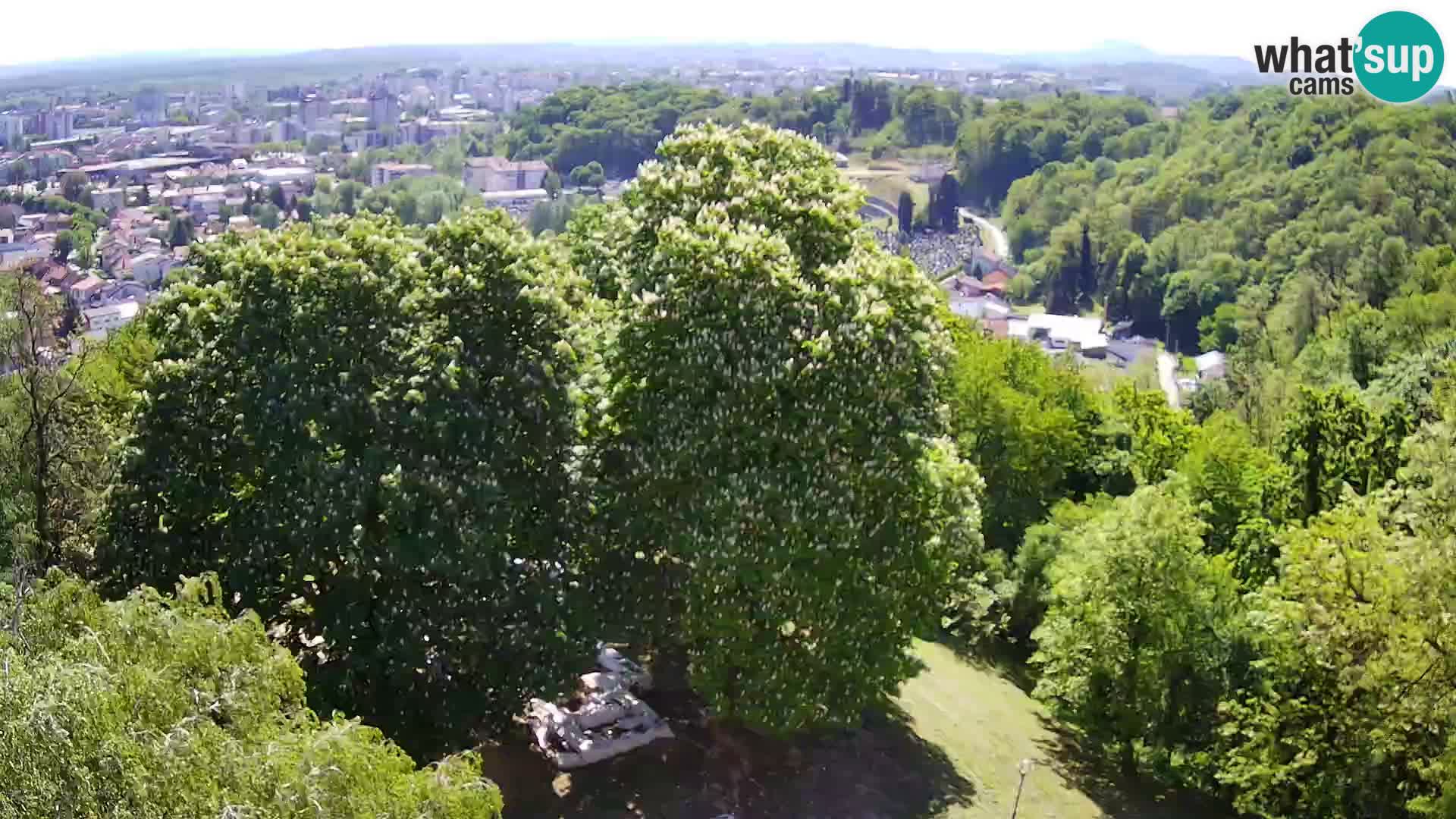 Webcam Karlstadt Burg Dubovac – Liveblick auf das historische Wahrzeichen