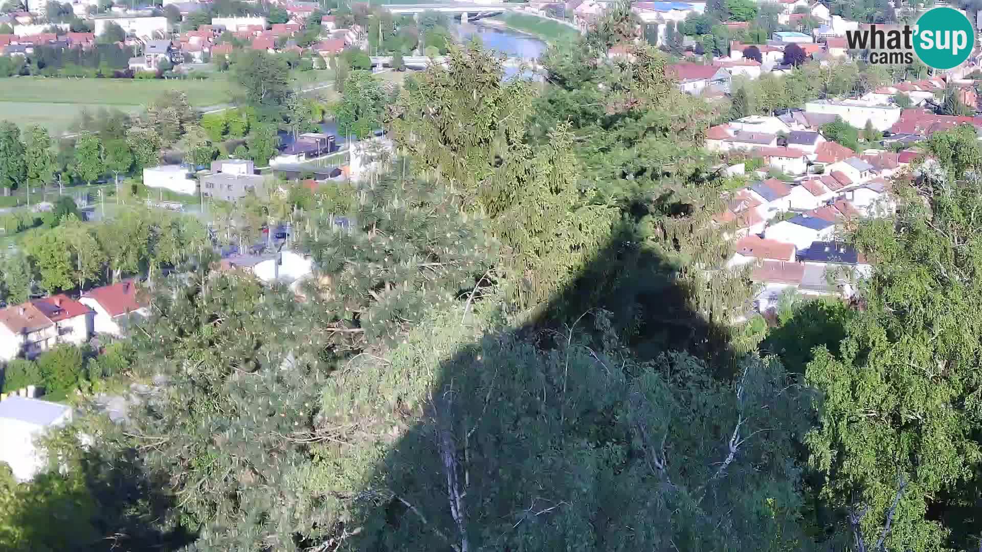 Spletna kamera Karlovac Dubovac grad – Pogled v živo na zgodovinsko znamenitost Karlovca