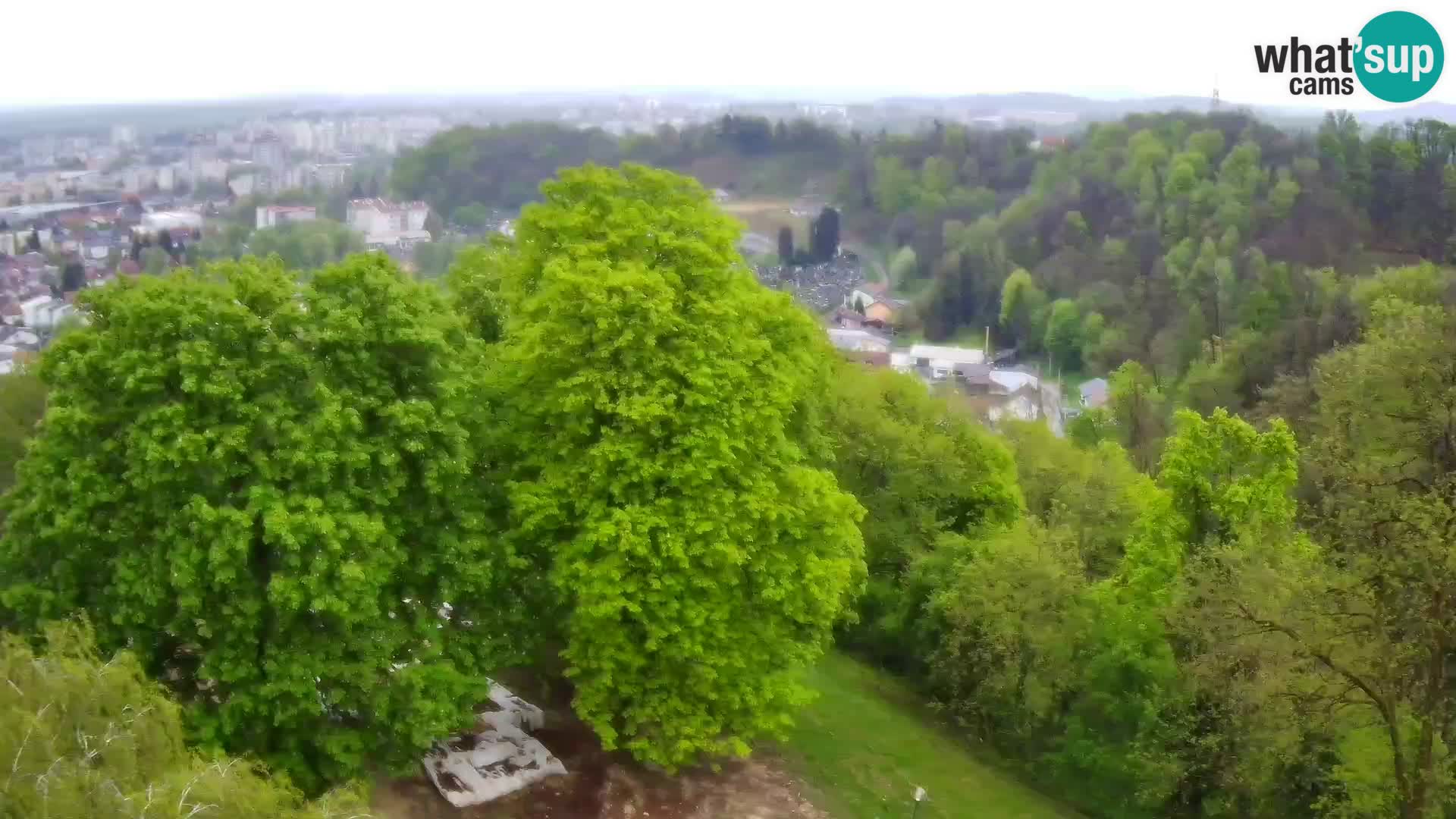 Webcam Castillo Dubovac Karlovac – Vista en directo del histórico castillo