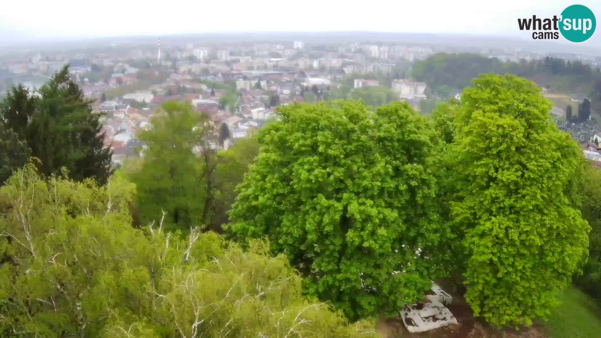 Webcam Castillo Dubovac Karlovac – Vista en directo del histórico castillo