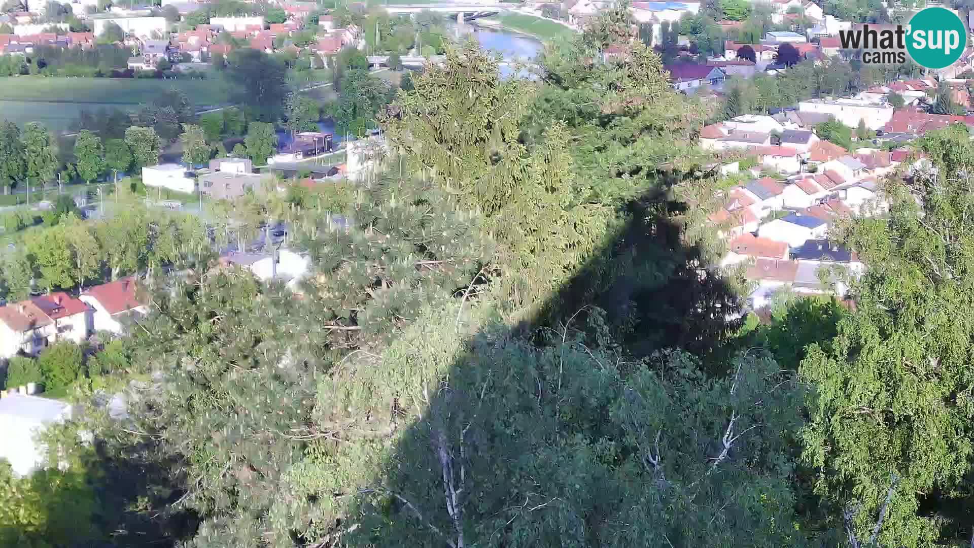 Webcam Karlovac Château Dubovac – Vue en direct de ce monument historique