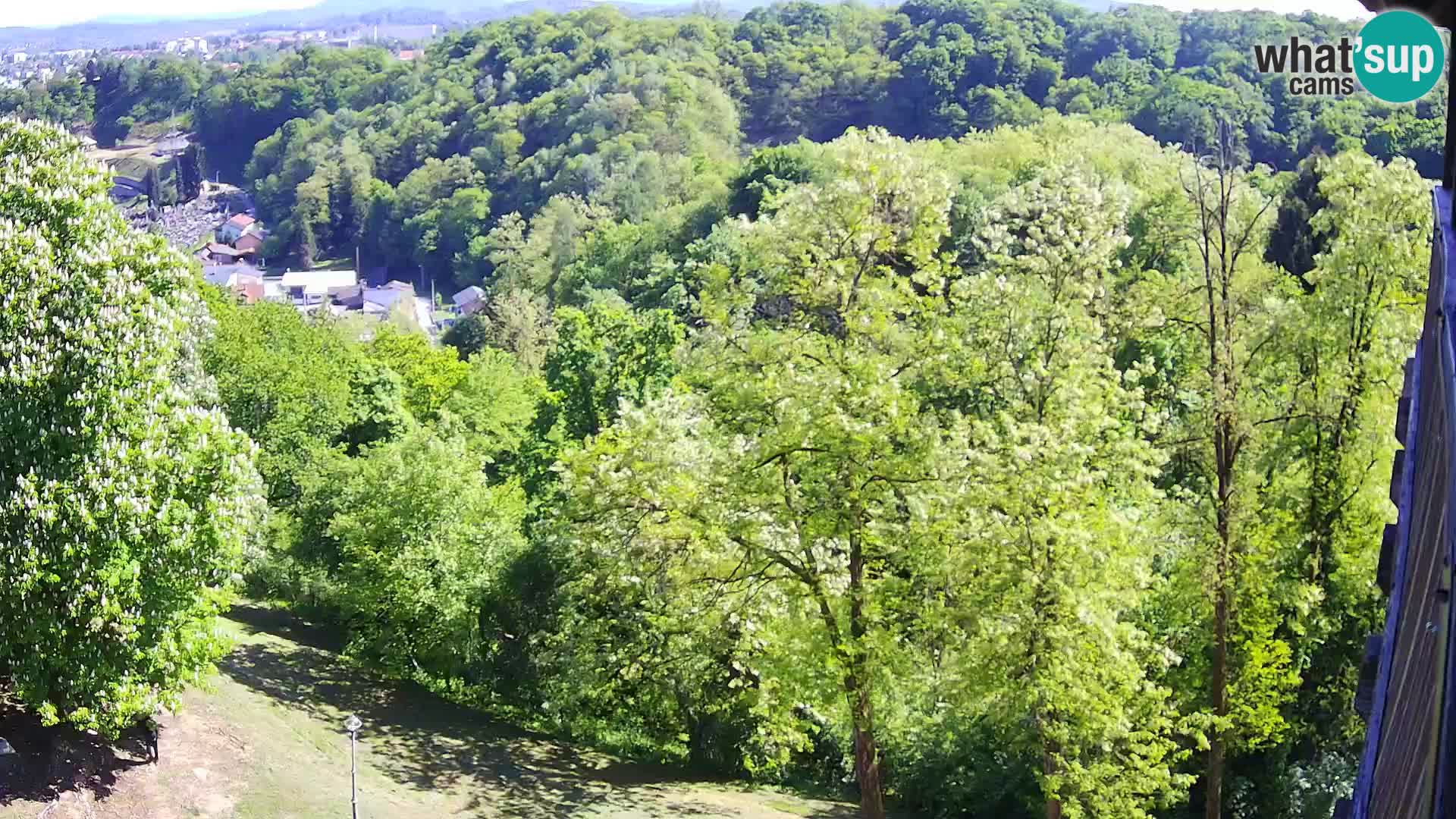 Webcam Castello Dubovac Karlovac – Vista Live sul Castello Storico