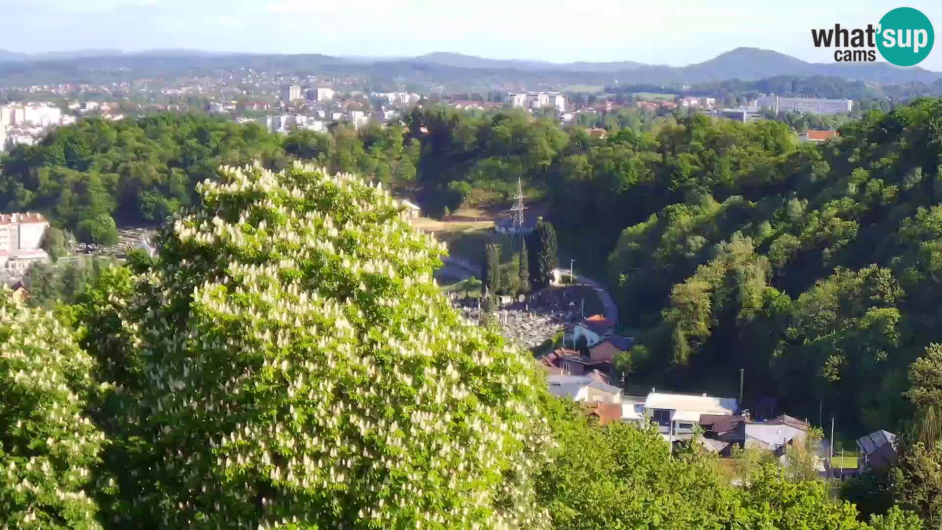 Web kamera Karlovac – Dvorac Dubovac uživo