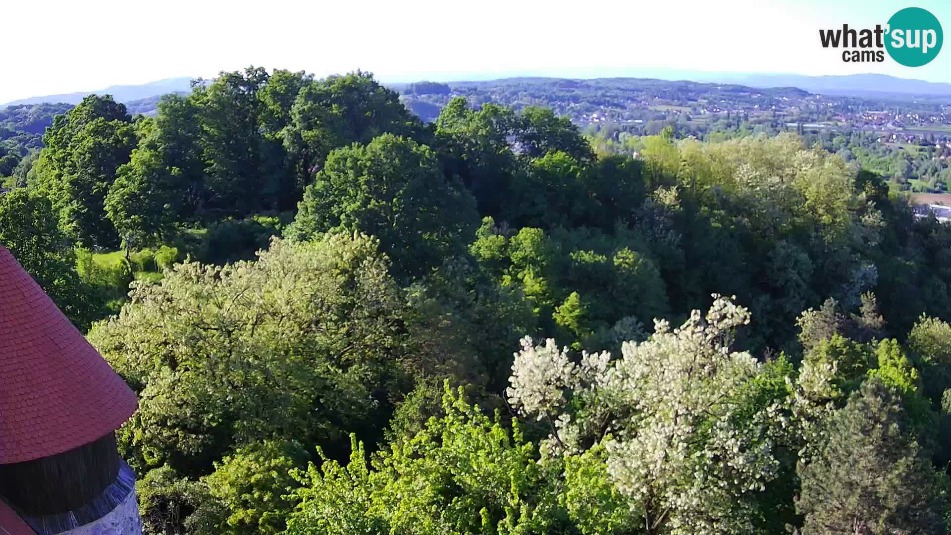 Webcam Karlovac Château Dubovac – Vue en direct de ce monument historique