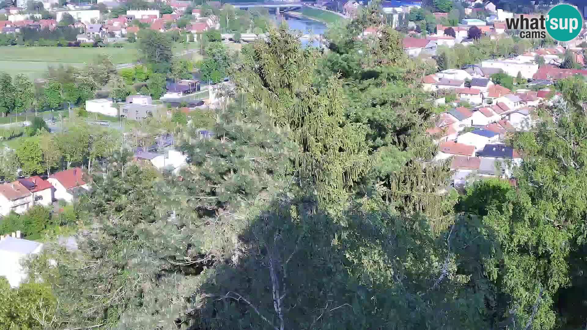 Webcam Karlovac Dubovac Castle – Live View of Karlovac’s Historic Landmark