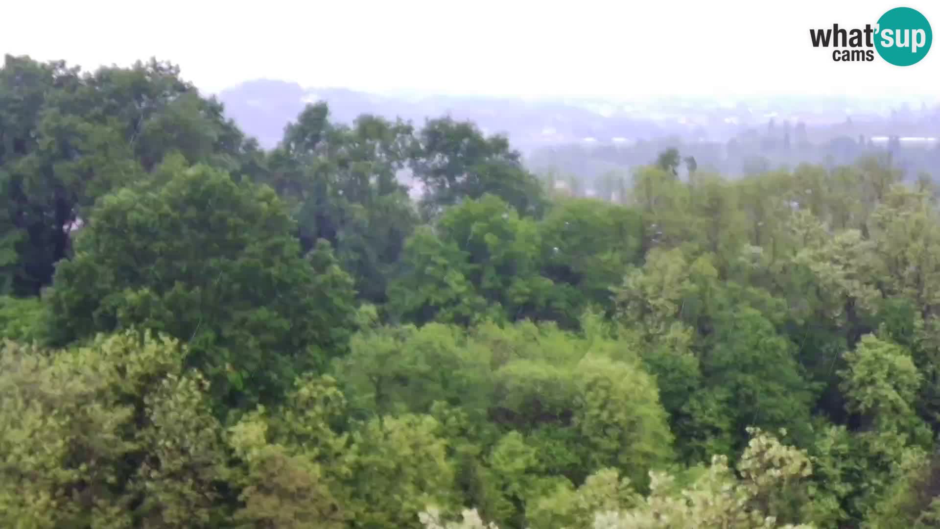 Webcam Karlstadt Burg Dubovac – Liveblick auf das historische Wahrzeichen