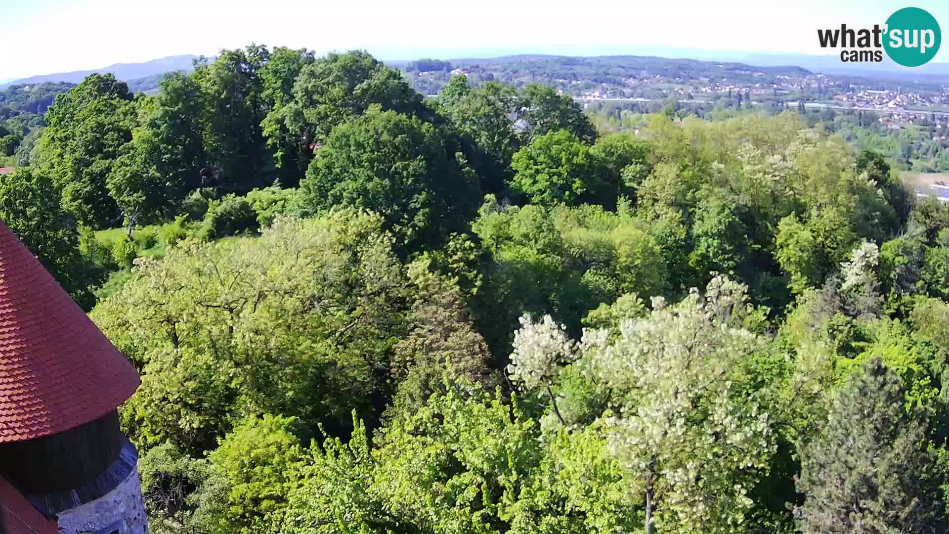 Webcam Karlovac Château Dubovac – Vue en direct de ce monument historique