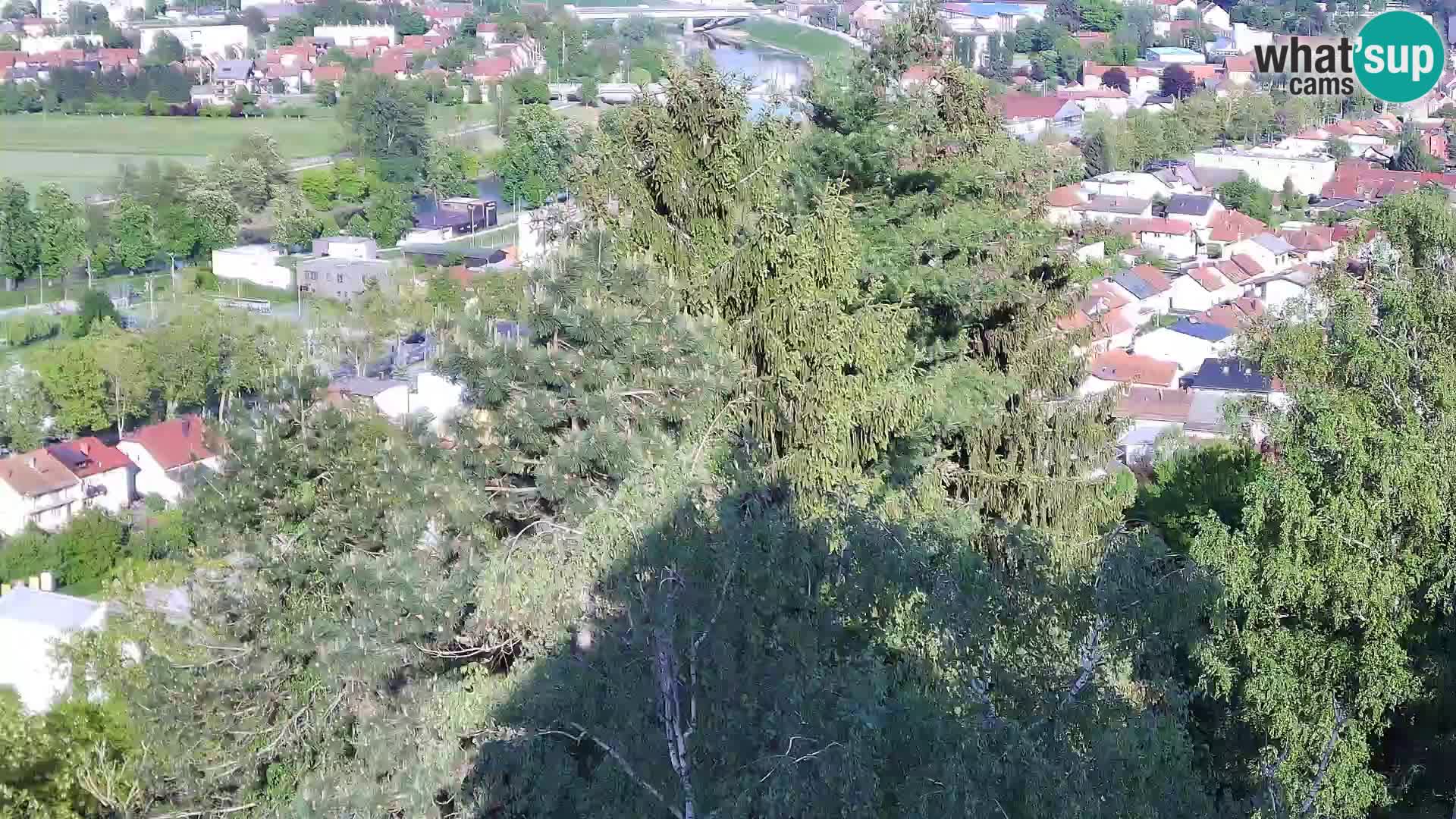 Webcam Castillo Dubovac Karlovac – Vista en directo del histórico castillo