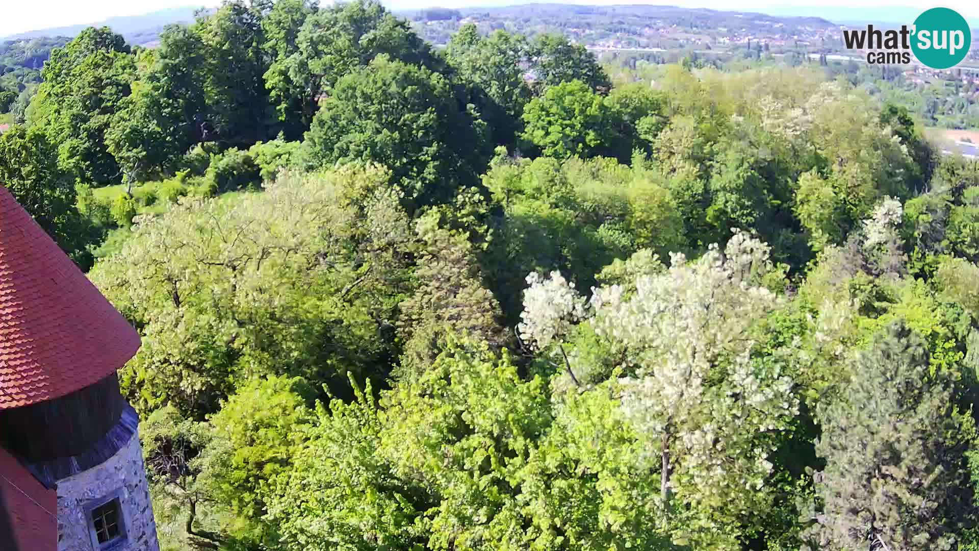 Webcam Castillo Dubovac Karlovac – Vista en directo del histórico castillo