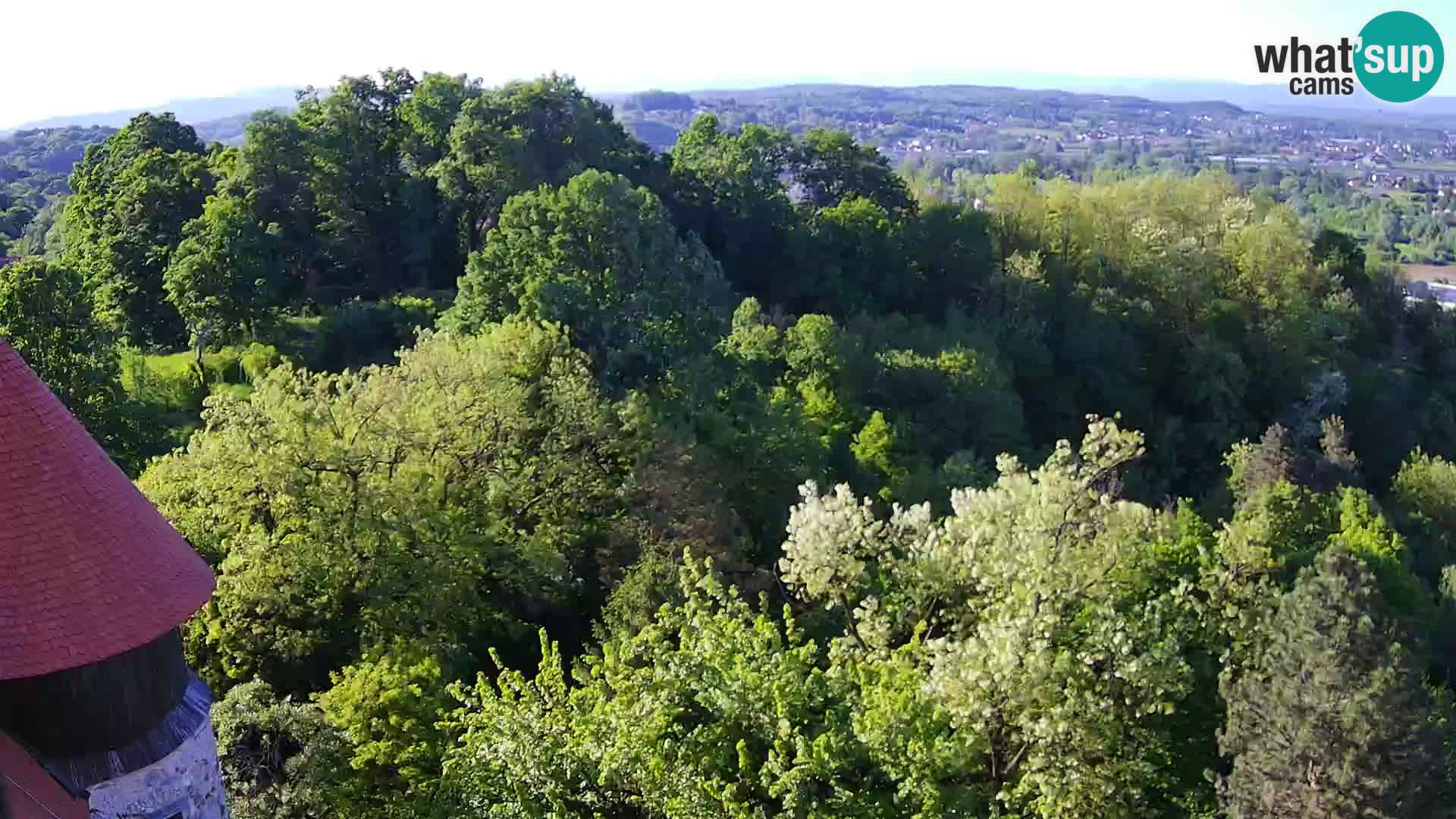 Webcam Castillo Dubovac Karlovac – Vista en directo del histórico castillo