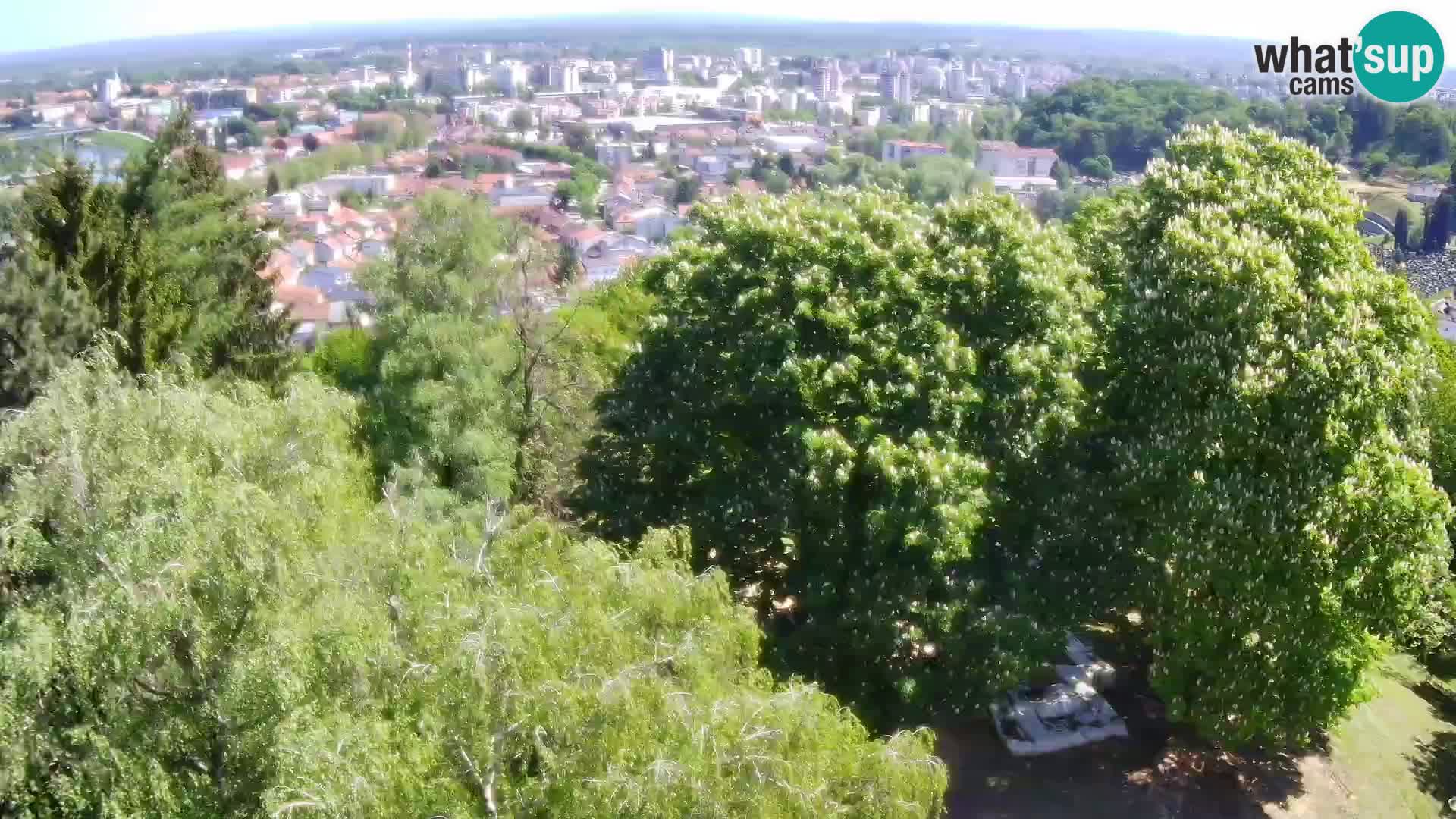 Web kamera Karlovac – Dvorac Dubovac uživo