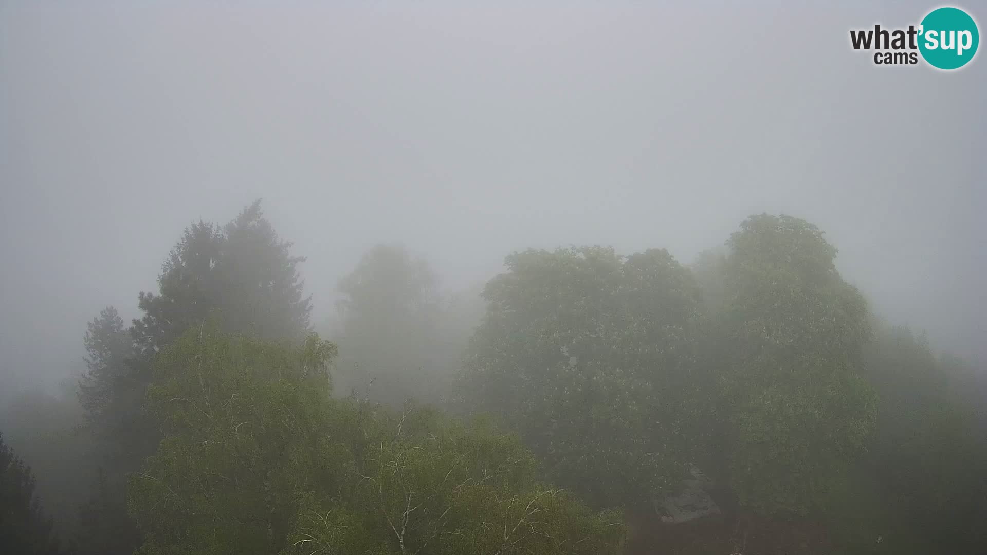 Webcam Castello Dubovac Karlovac – Vista Live sul Castello Storico