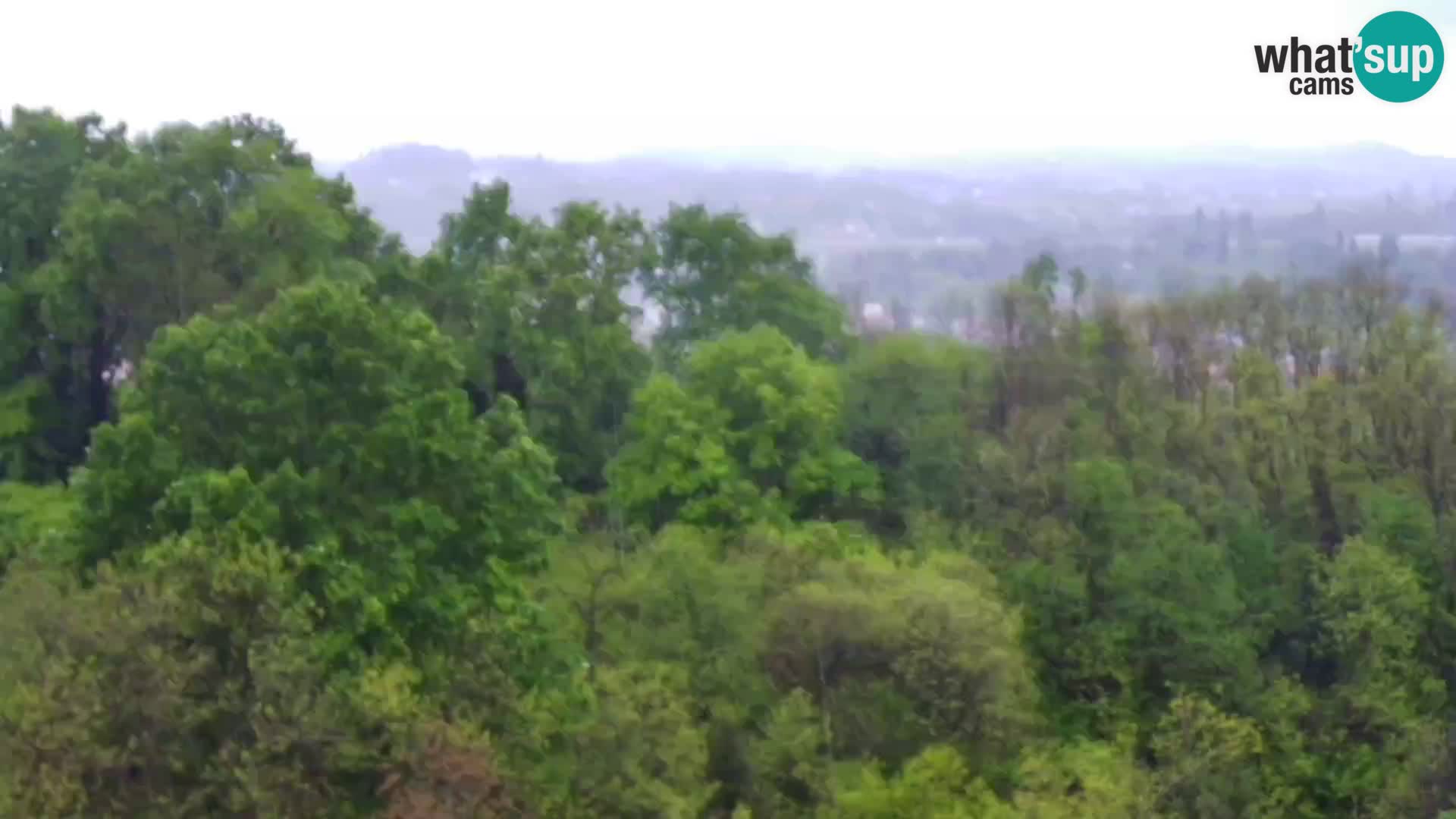 Webcam Castello Dubovac Karlovac – Vista Live sul Castello Storico
