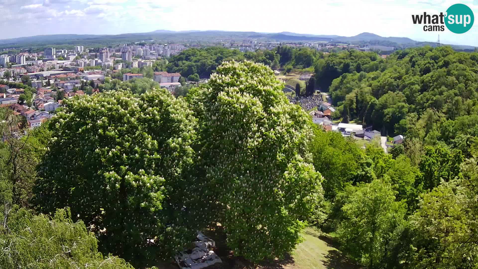 Webcam Karlstadt Burg Dubovac – Liveblick auf das historische Wahrzeichen