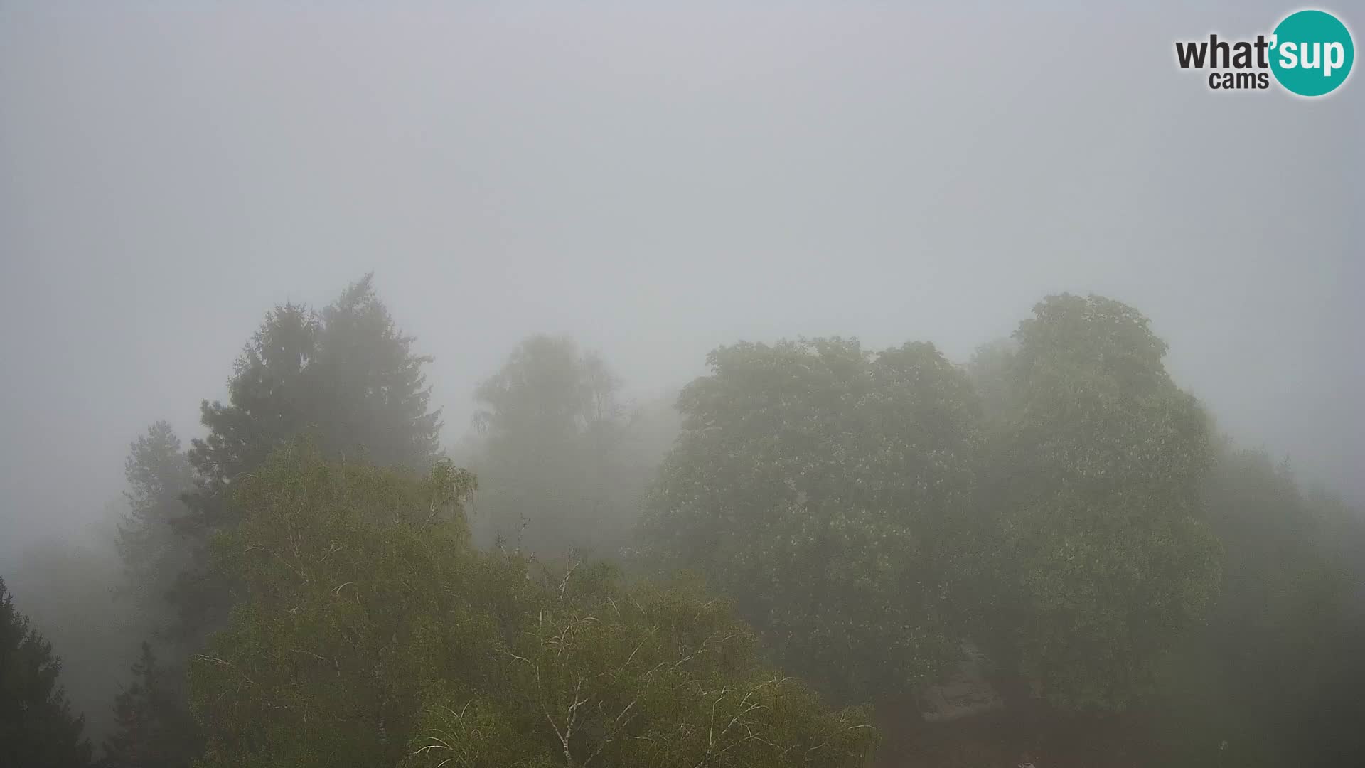 Webcam Karlstadt Burg Dubovac – Liveblick auf das historische Wahrzeichen