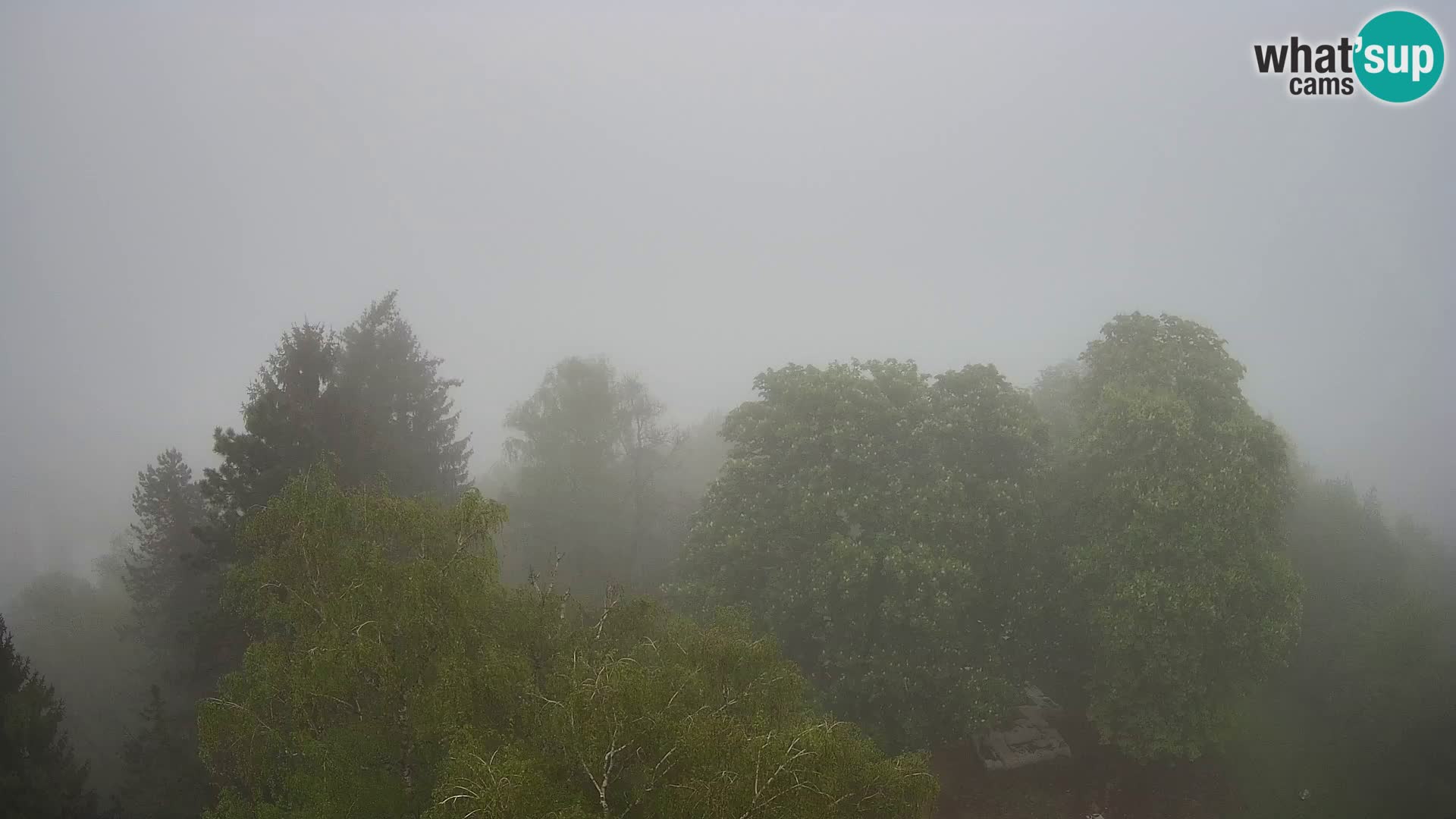 Webcam Castillo Dubovac Karlovac – Vista en directo del histórico castillo