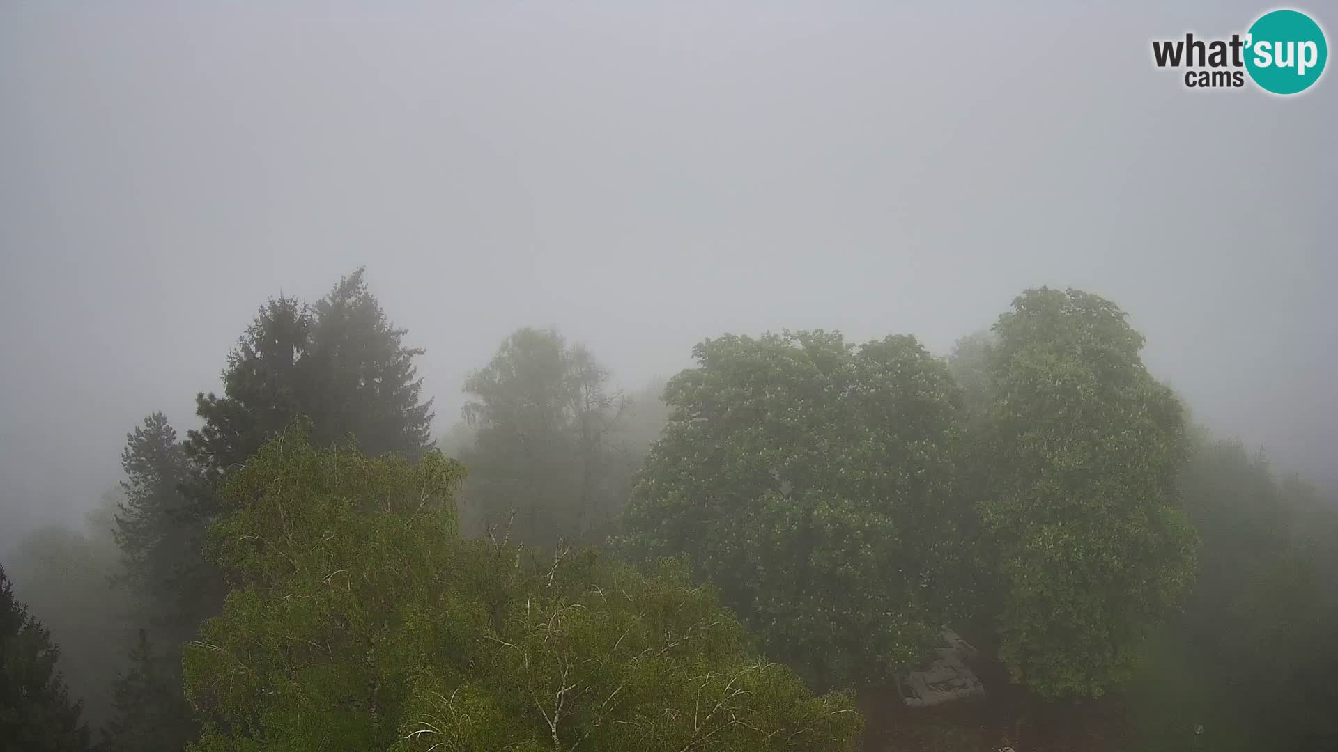 Spletna kamera Karlovac Dubovac grad – Pogled v živo na zgodovinsko znamenitost Karlovca