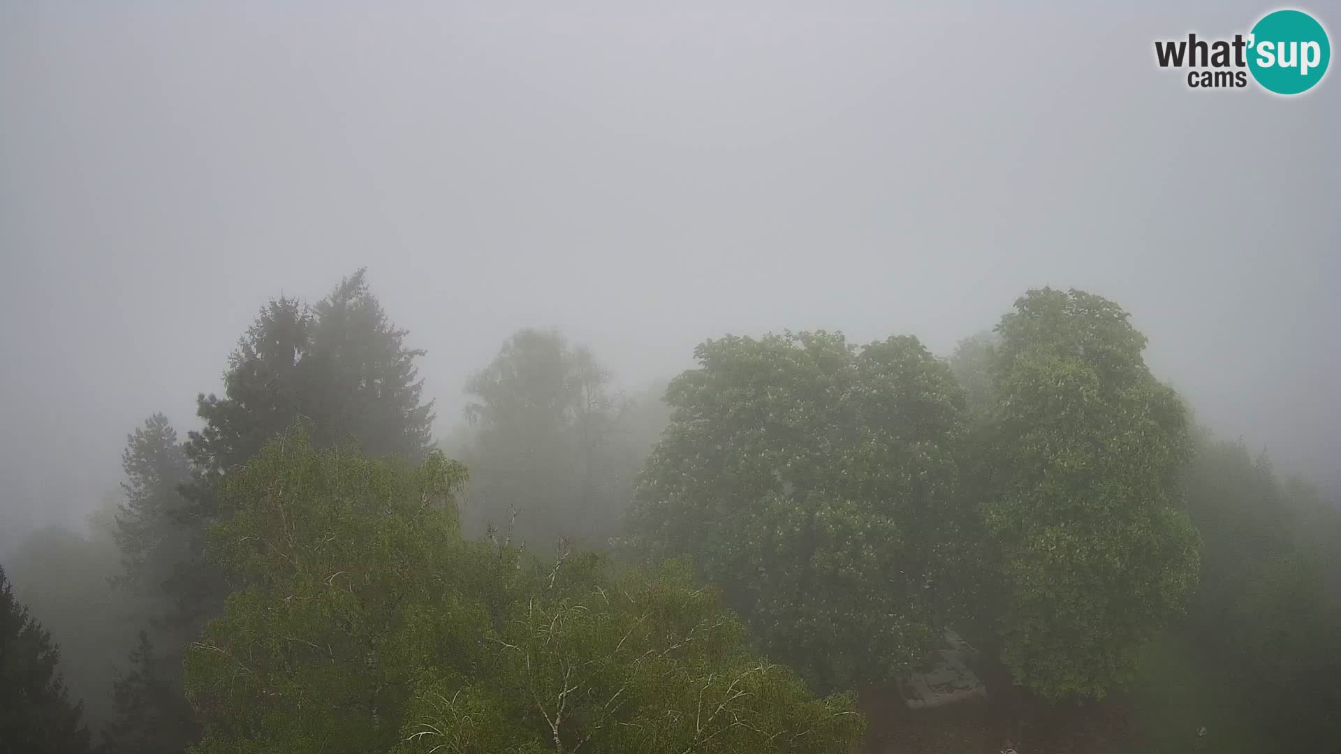 Webcam Castillo Dubovac Karlovac – Vista en directo del histórico castillo