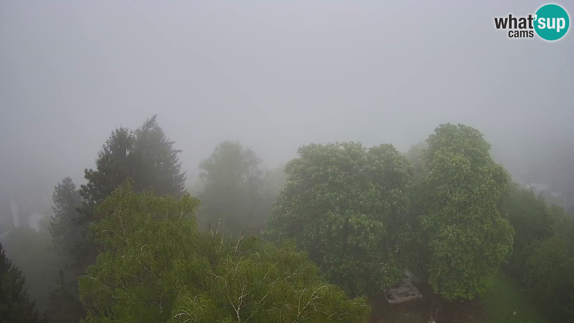 Webcam Karlstadt Burg Dubovac – Liveblick auf das historische Wahrzeichen