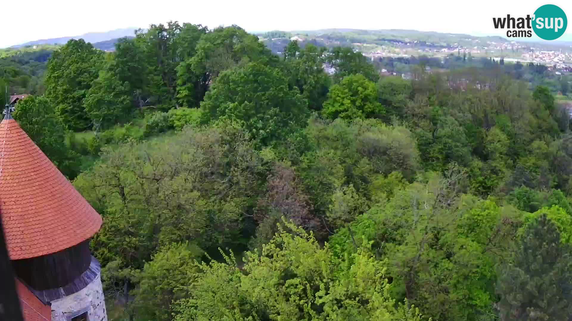 Web kamera Karlovac – Dvorac Dubovac uživo