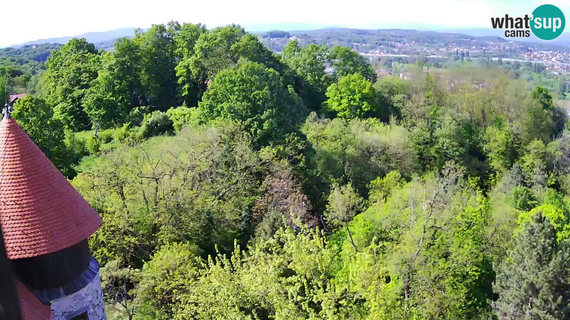 Webcam Karlstadt Burg Dubovac – Liveblick auf das historische Wahrzeichen