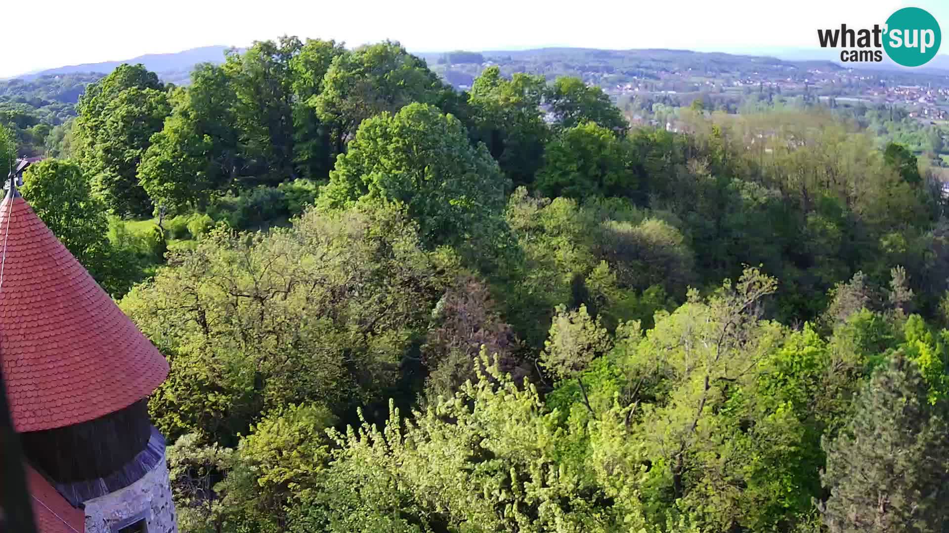 Web kamera Karlovac – Dvorac Dubovac uživo