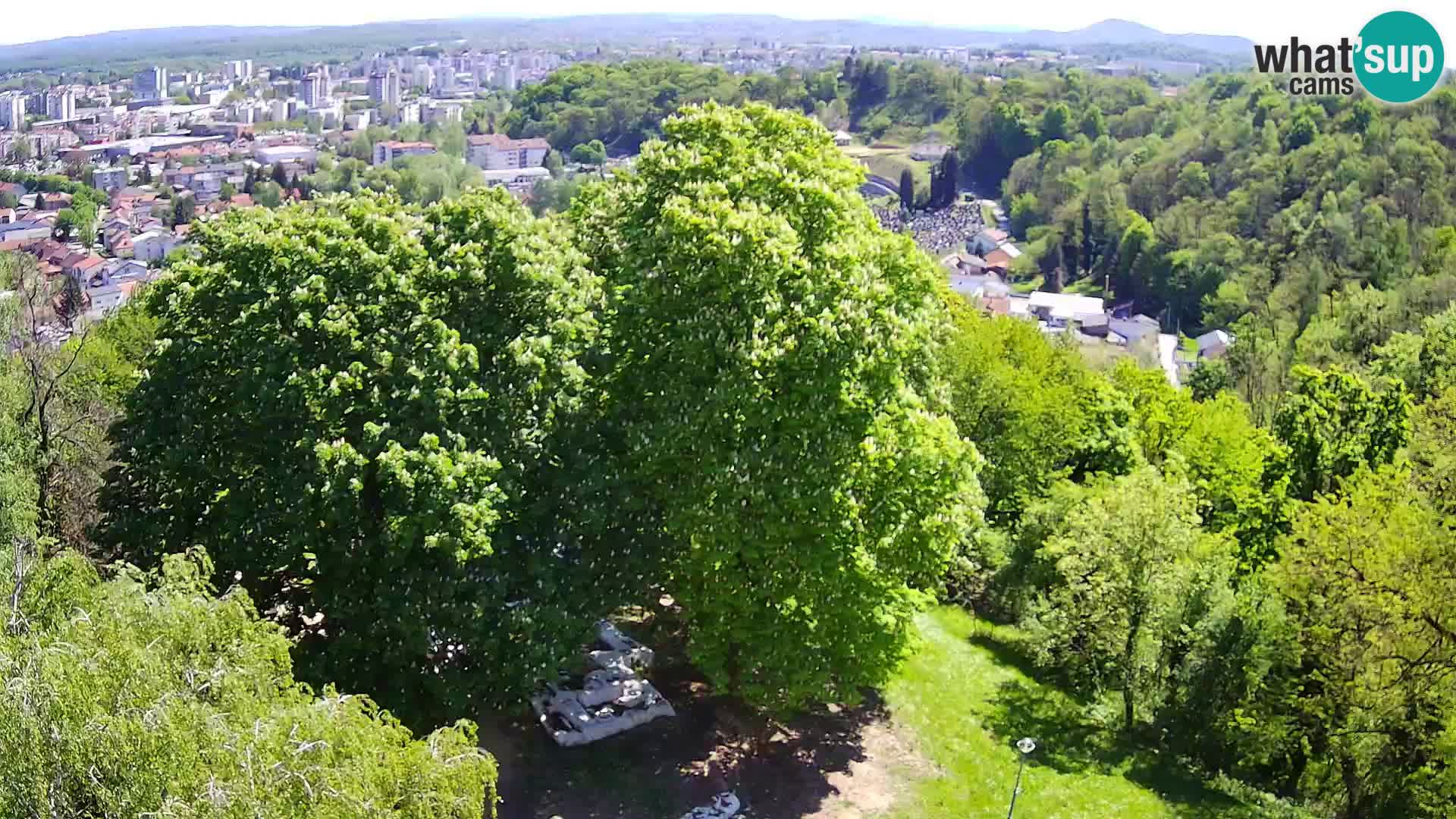 Webcam Karlovac Dubovac Castle – Live View of Karlovac’s Historic Landmark