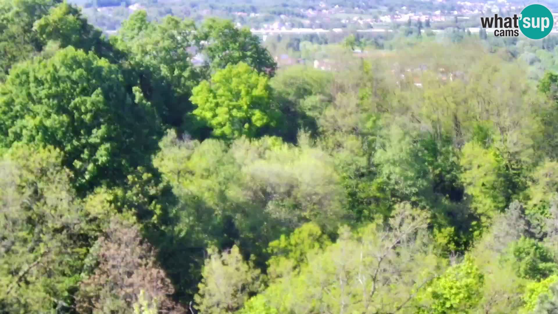 Spletna kamera Karlovac Dubovac grad – Pogled v živo na zgodovinsko znamenitost Karlovca