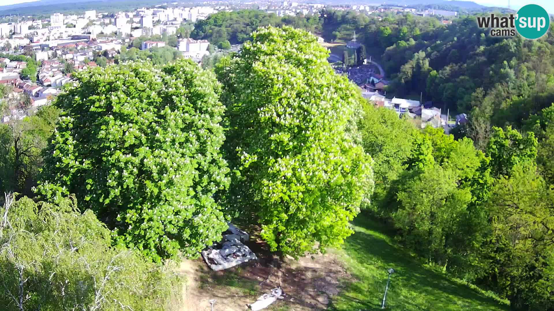 Webcam Castello Dubovac Karlovac – Vista Live sul Castello Storico