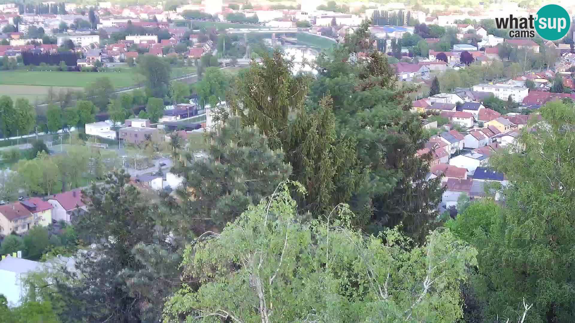 Web kamera Karlovac – Dvorac Dubovac uživo