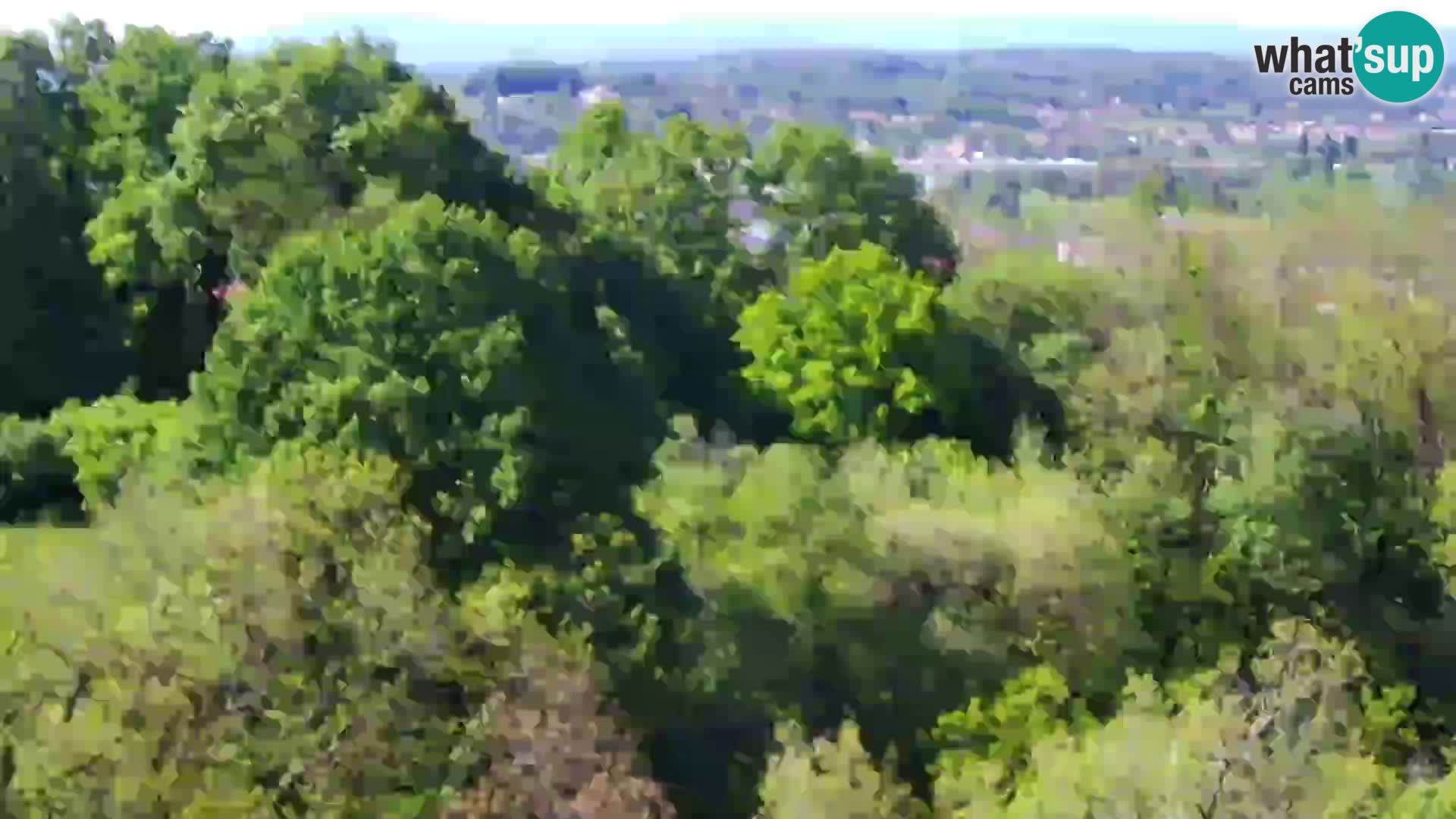 Webcam Castello Dubovac Karlovac – Vista Live sul Castello Storico