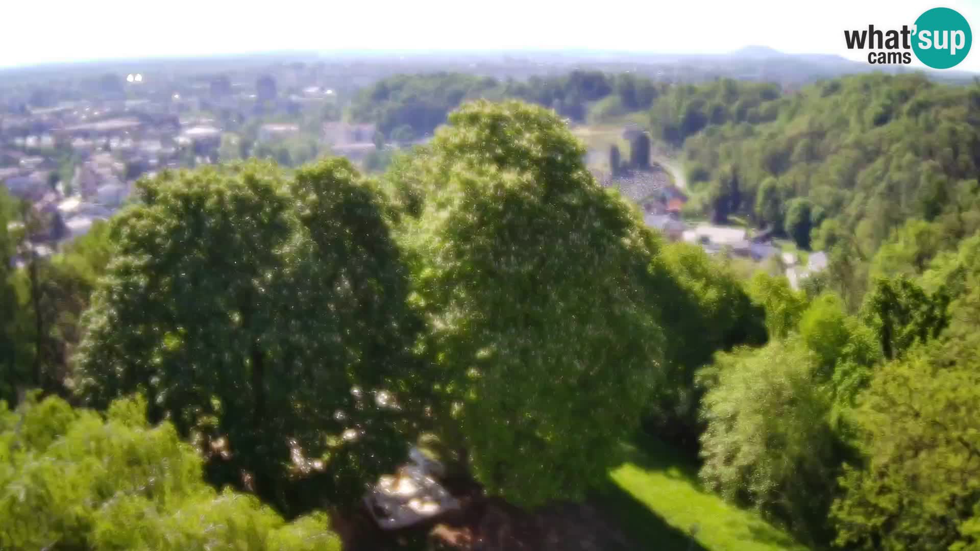 Webcam Karlovac Dubovac Castle – Live View of Karlovac’s Historic Landmark