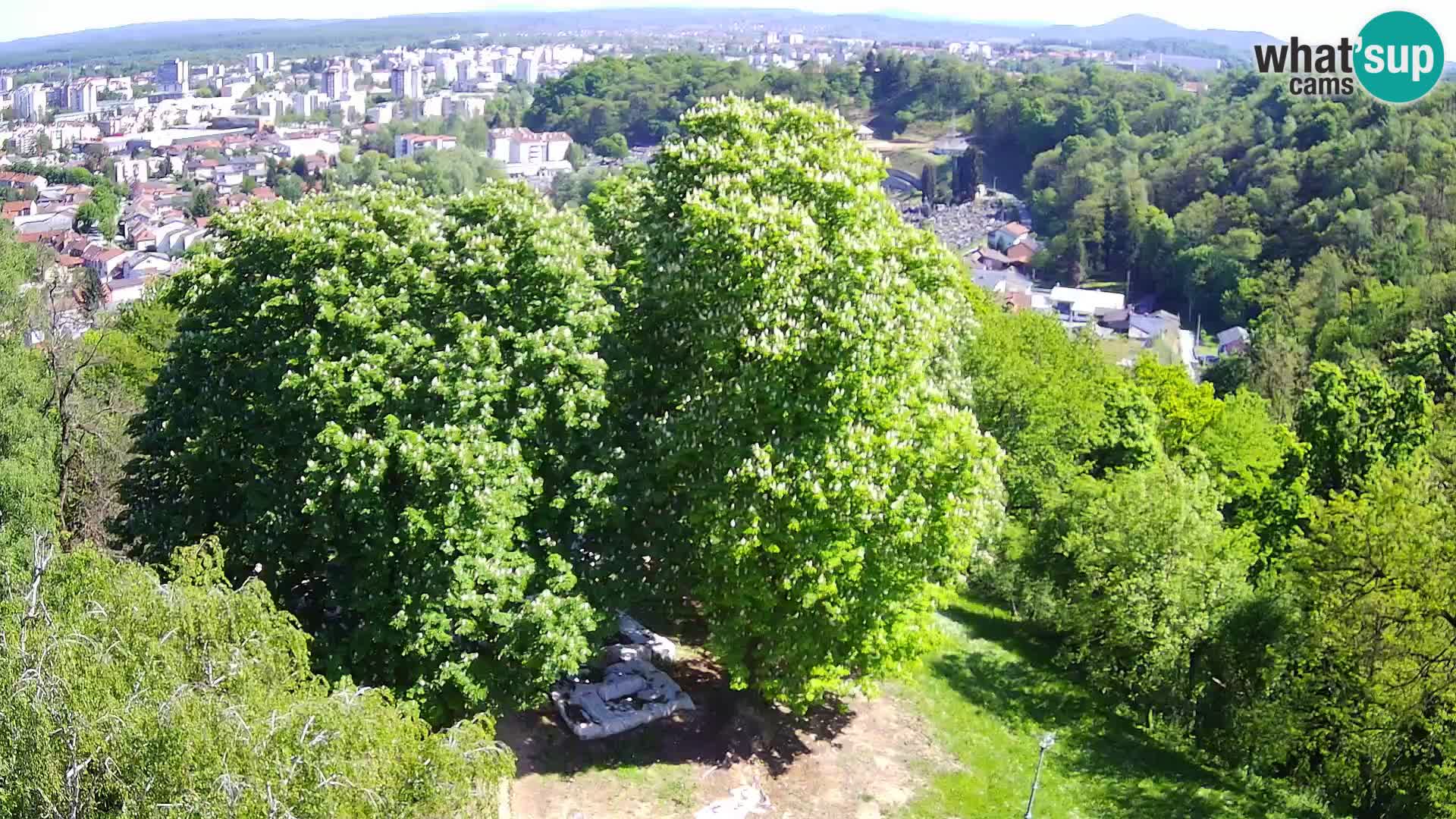 Webcam Karlovac Château Dubovac – Vue en direct de ce monument historique
