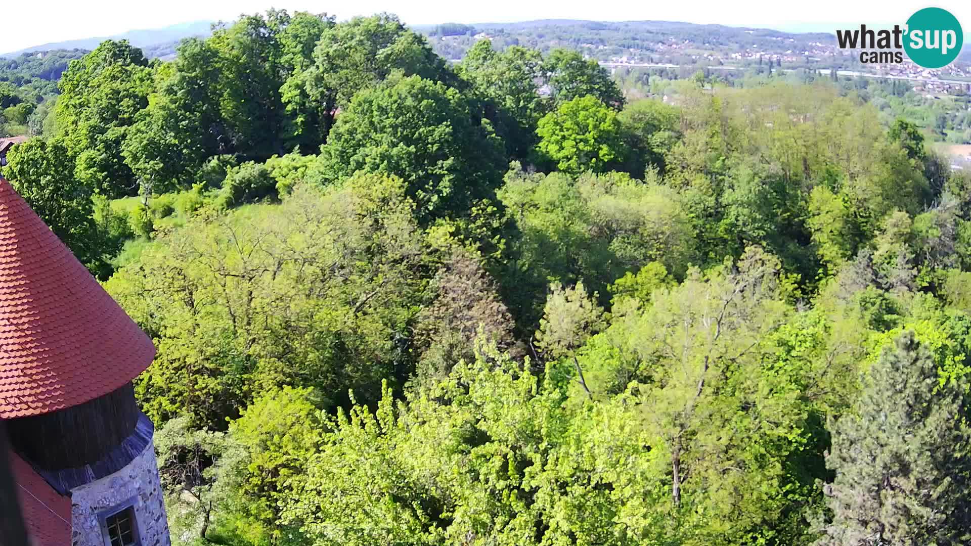 Webcam Karlstadt Burg Dubovac – Liveblick auf das historische Wahrzeichen