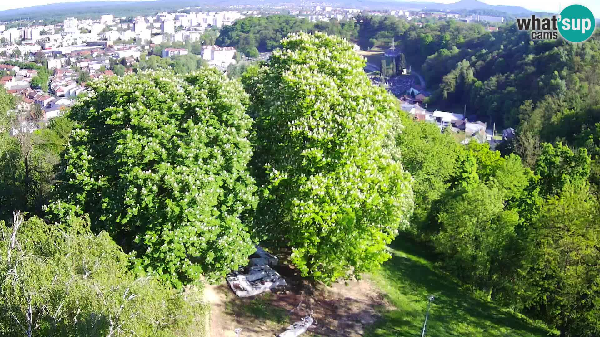 Webcam Karlovac Dubovac Castle – Live View of Karlovac’s Historic Landmark