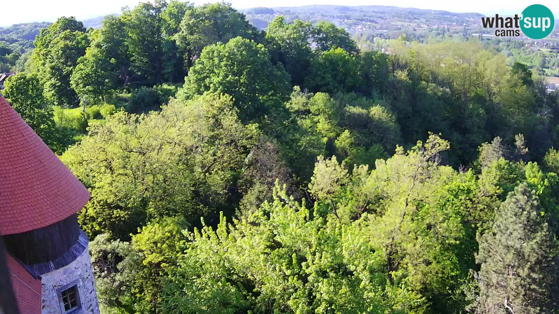 Webcam Karlstadt Burg Dubovac – Liveblick auf das historische Wahrzeichen