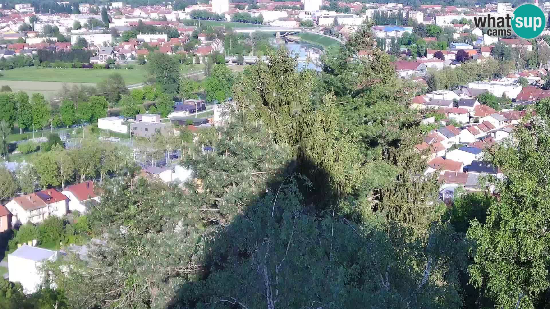 Webcam Castillo Dubovac Karlovac – Vista en directo del histórico castillo