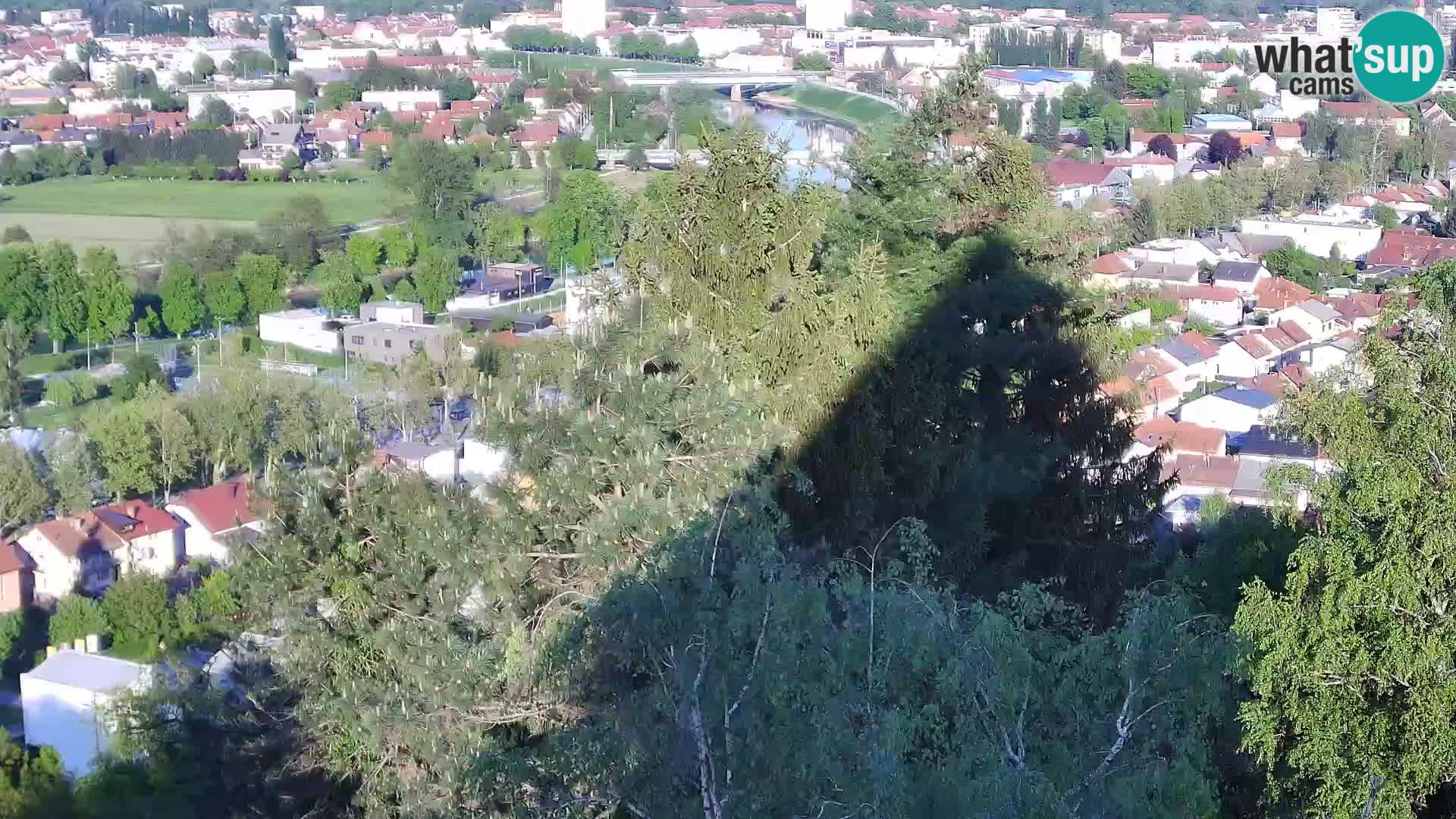 Webcam Castillo Dubovac Karlovac – Vista en directo del histórico castillo