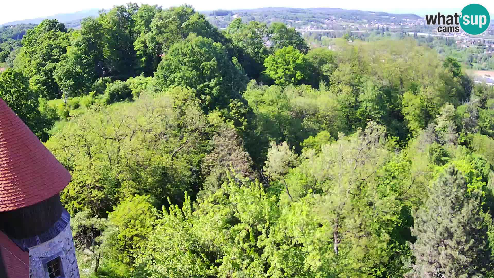Webcam Karlstadt Burg Dubovac – Liveblick auf das historische Wahrzeichen