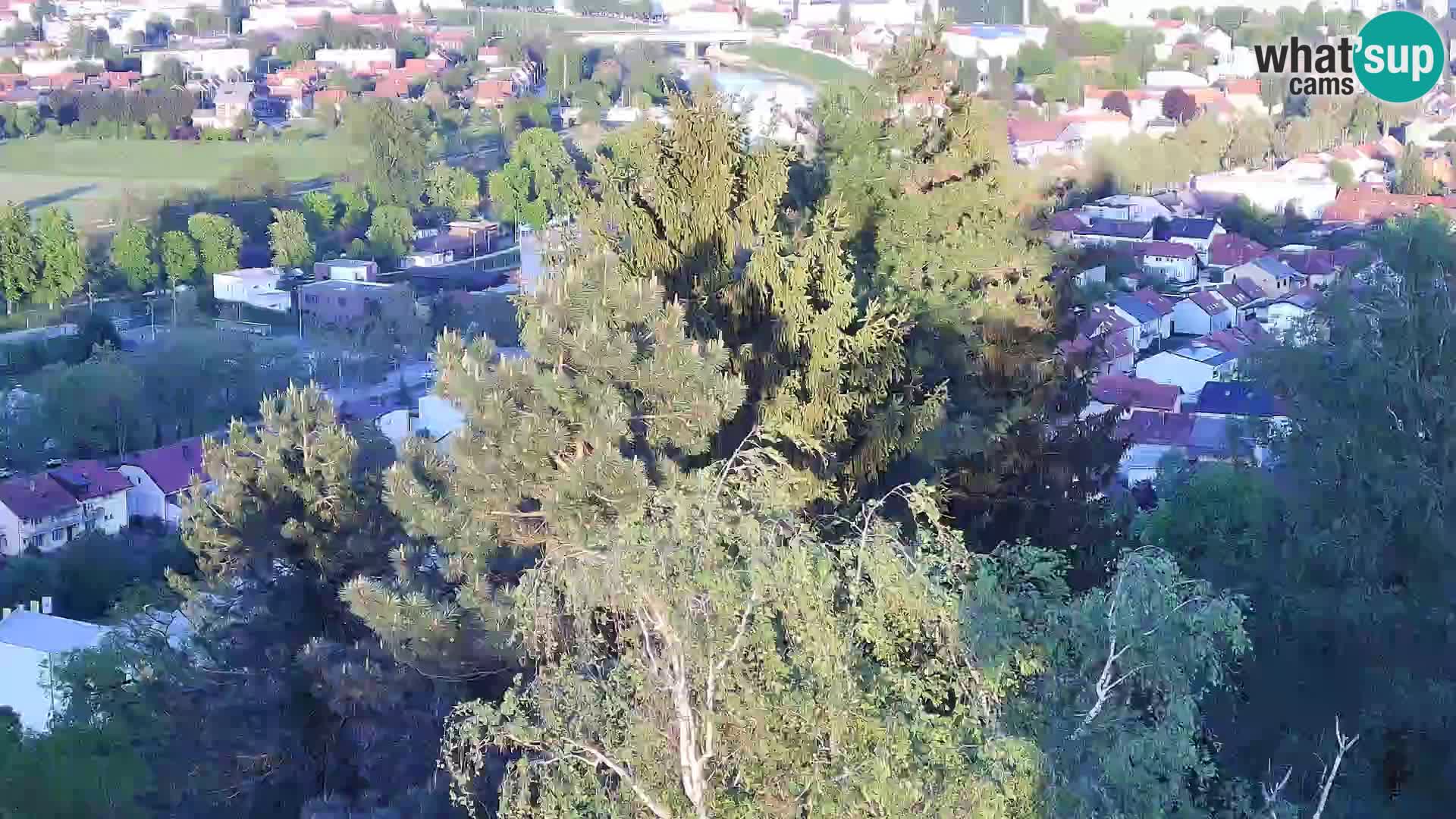 Webcam Castello Dubovac Karlovac – Vista Live sul Castello Storico