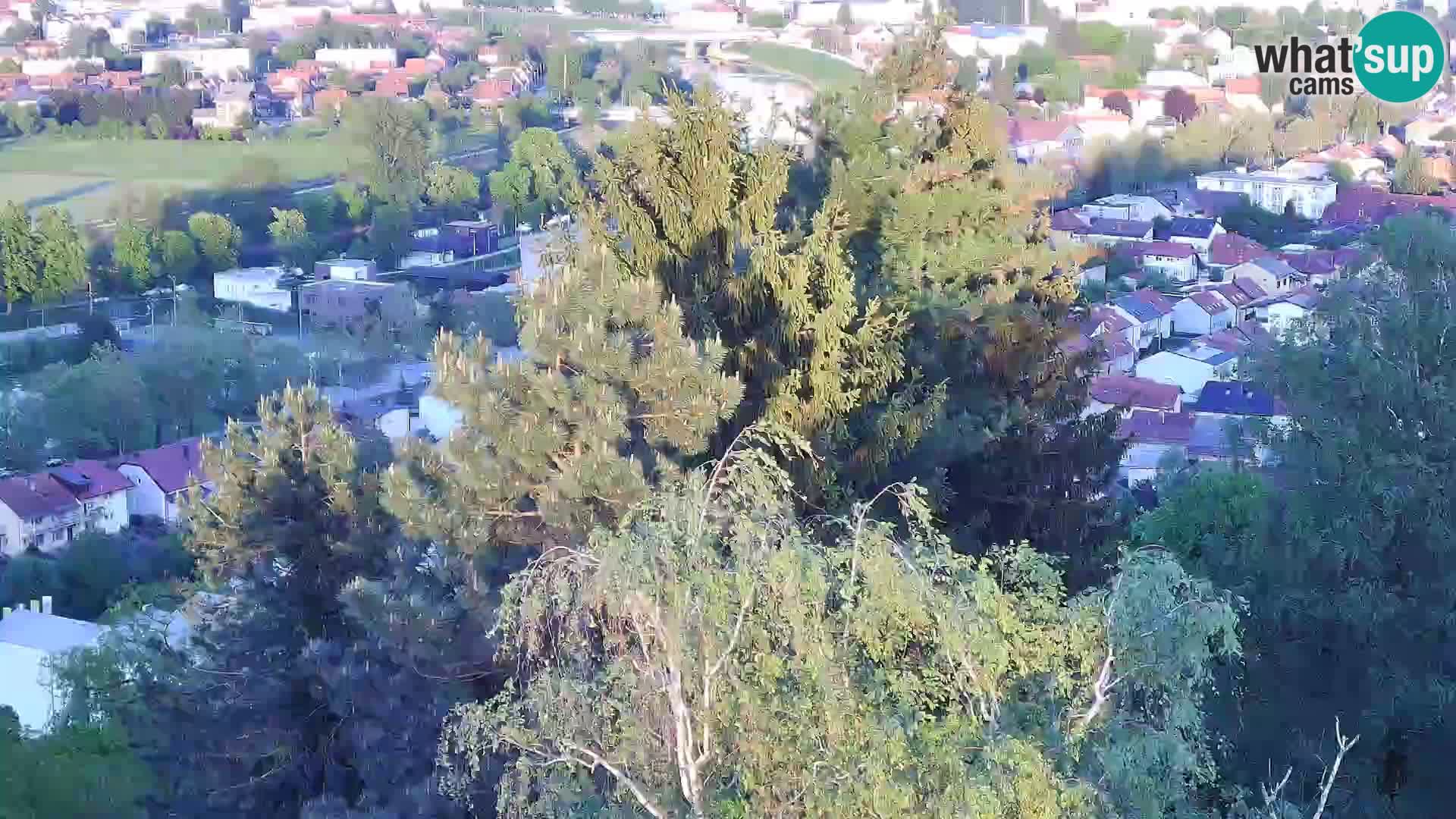 Webcam Castello Dubovac Karlovac – Vista Live sul Castello Storico