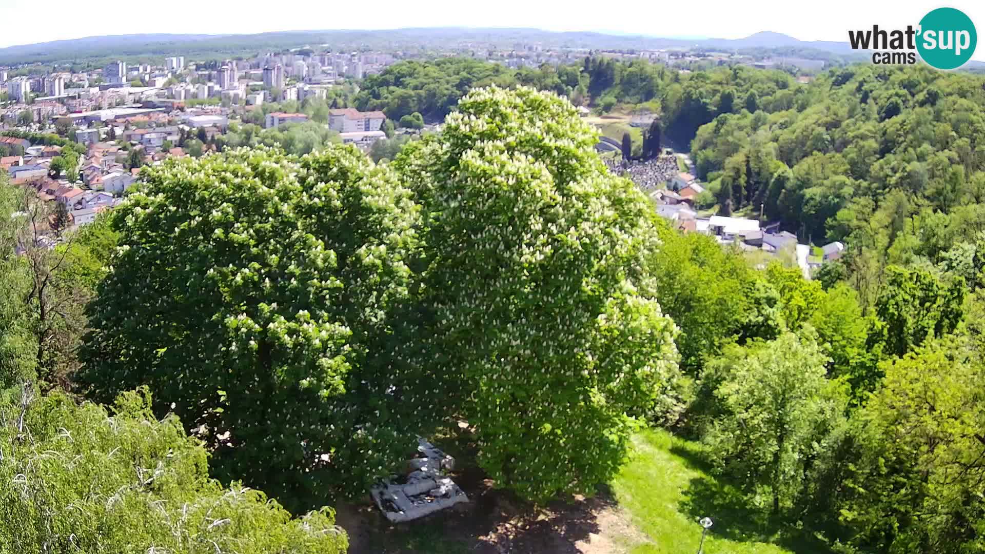 Webcam Karlovac Château Dubovac – Vue en direct de ce monument historique