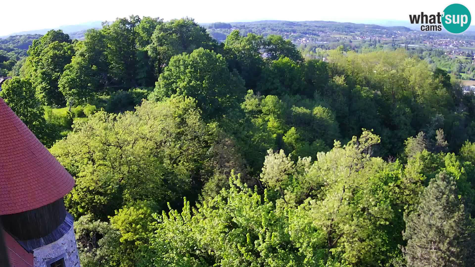 Webcam Karlstadt Burg Dubovac – Liveblick auf das historische Wahrzeichen