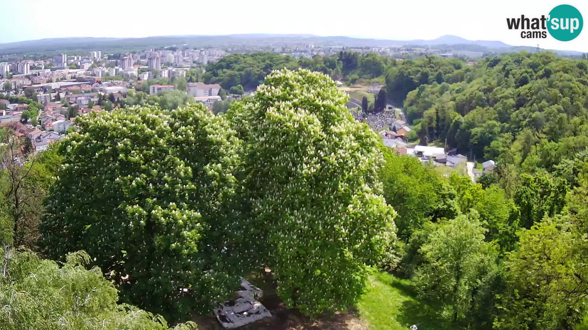 Webcam Karlovac Dubovac Castle – Live View of Karlovac’s Historic Landmark