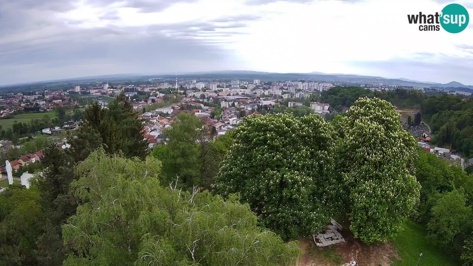 Webcam Castello Dubovac Karlovac – Vista Live sul Castello Storico