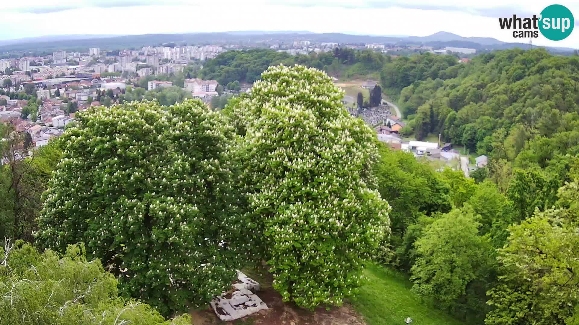 Spletna kamera Karlovac Dubovac grad – Pogled v živo na zgodovinsko znamenitost Karlovca